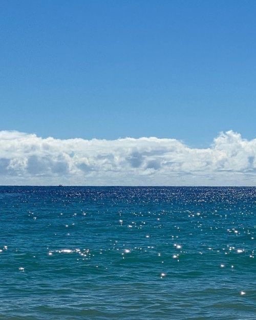 페퍼저축은행_기타